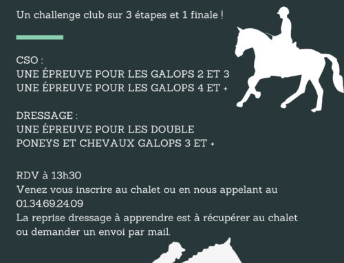 Tournoi des champions