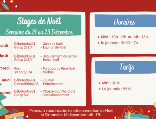 Stages de Noël 2022